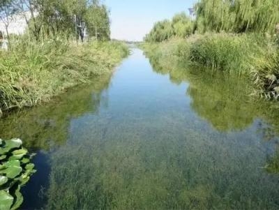 什么是水生態(tài)保護(hù)修復(fù)
