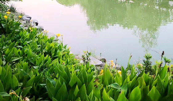 “十四五”期間，要以貫徹落實(shí)《地下水管理?xiàng)l例》為主線